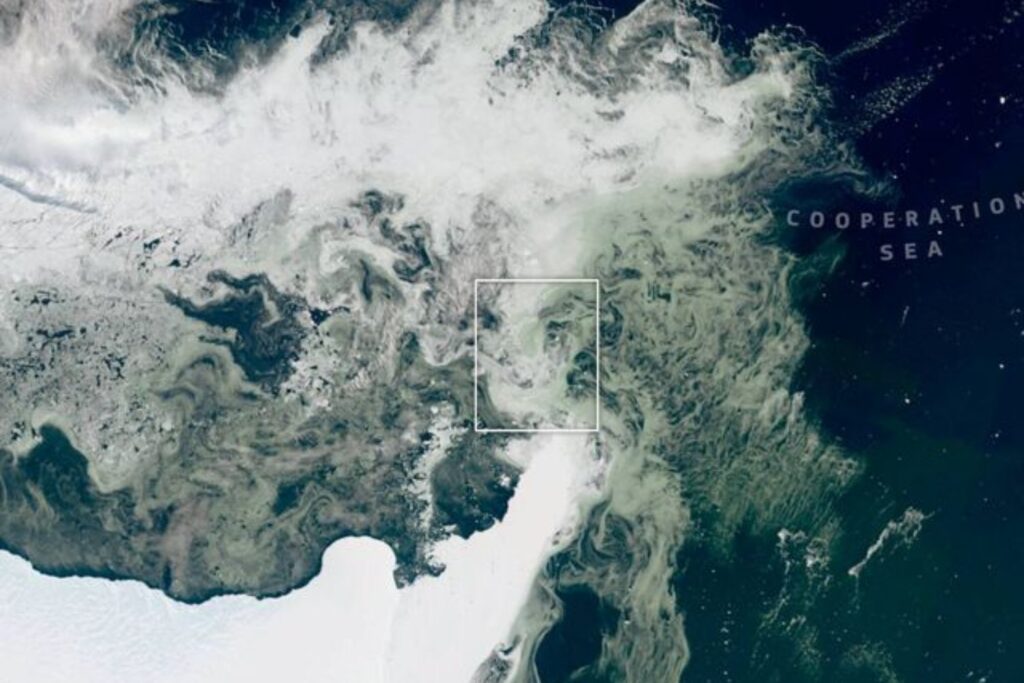 Los satélites europeos han visto un cambio de color en la Antártida que no encaja con lo habitual. Donde siempre hubo blanco ahora aparece verde, y la clave está en lo que ocurre bajo la superficie del océano
