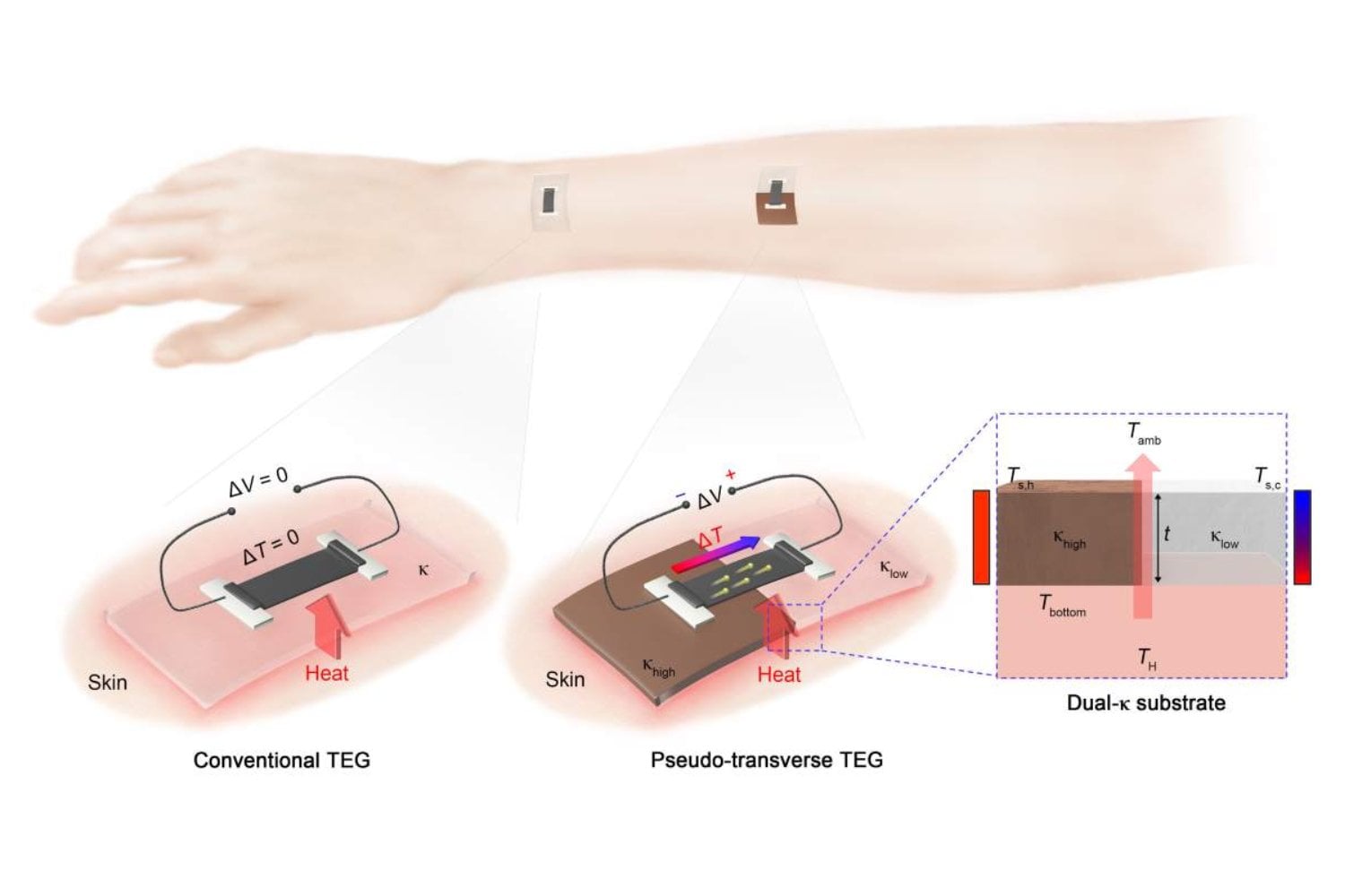 El calor del cuerpo parecía inútil en dispositivos ultrafinos. Un equipo en Corea del Sur acaba de cambiar esa idea con una solución que no genera más energía, sino que evita que se pierda