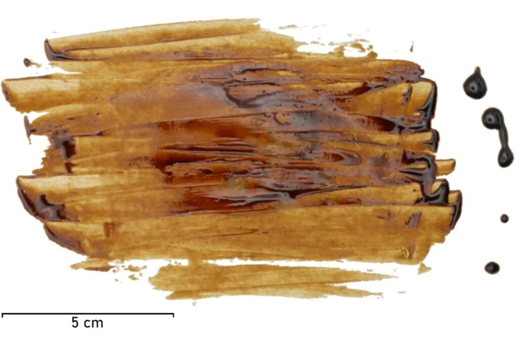 Los neandertales podrían haber fabricado una especie de “antibiótico” hace más de 40.000 años. El problema es que el estudio más llamativo también es bastante más discutible de lo que parece