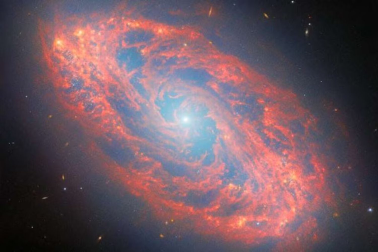 El telescopio James Webb revela con un nivel de detalle nunca visto una galaxia espiral situada a 65 millones de años luz. Sus datos ayudan a entender cómo nacen las estrellas
