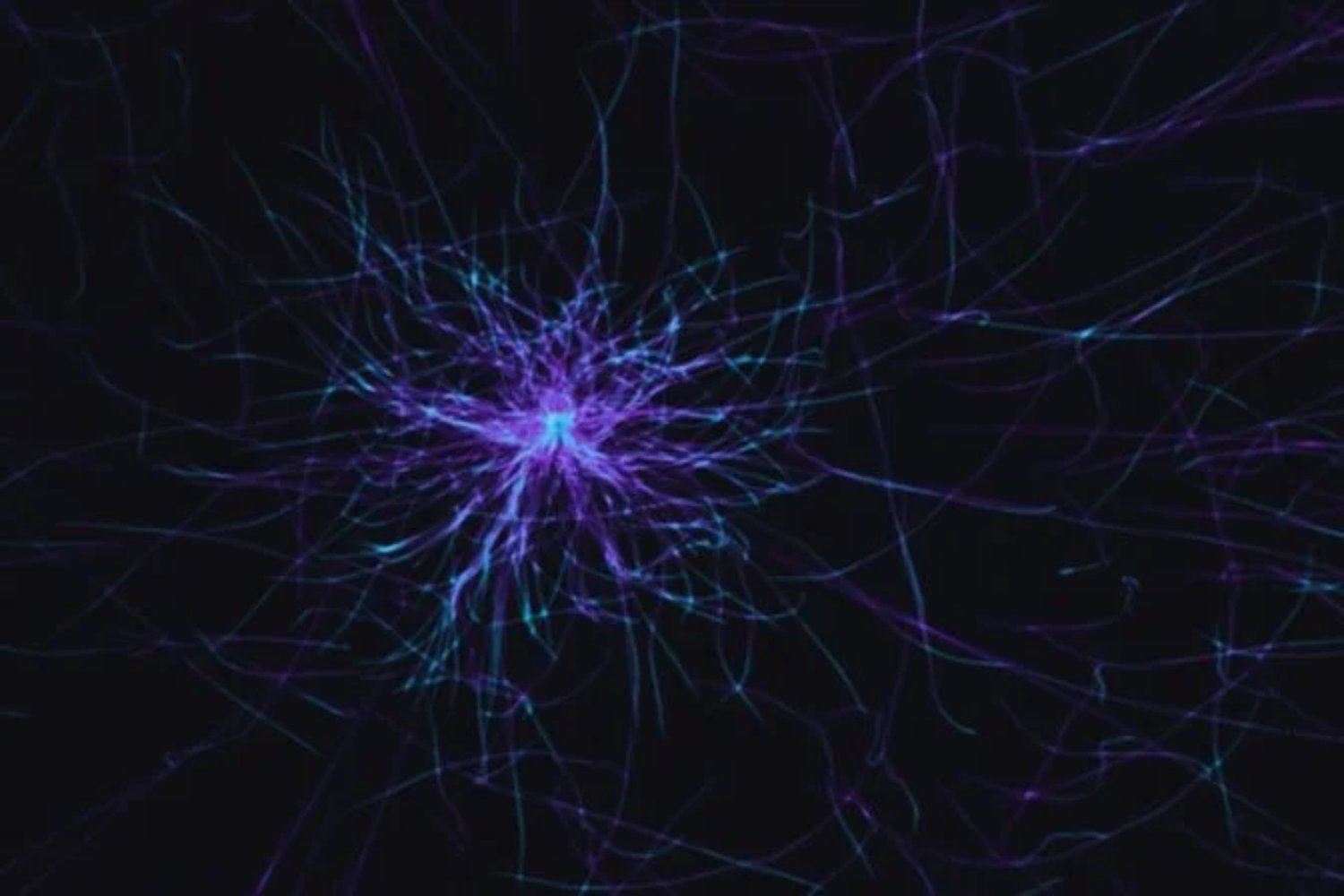 Cómo una sola célula termina convirtiéndose en 170 mil millones dentro del cerebro. Un estudio propone un nuevo mecanismo que explicaría la arquitectura del sistema nervioso