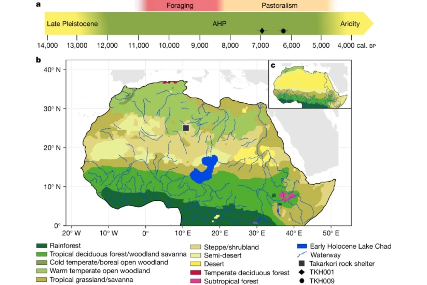 Han encontrado momias de 7000 años en pleno Sáhara cuyo ADN no coincide con ningún grupo humano conocido. El hallazgo revela una población aislada durante milenios que desapareció sin dejar descendencia clara