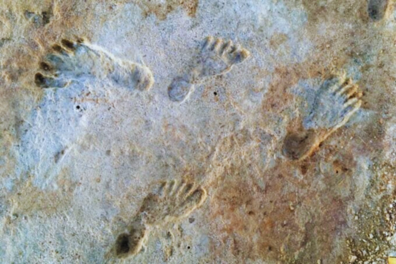 El yacimiento chileno que obligó a reescribir la llegada de los humanos a América podría haber estado mal fechado. Nuevas dataciones reducen miles de años su antigüedad y reabren el debate sobre el origen del poblamiento del continente