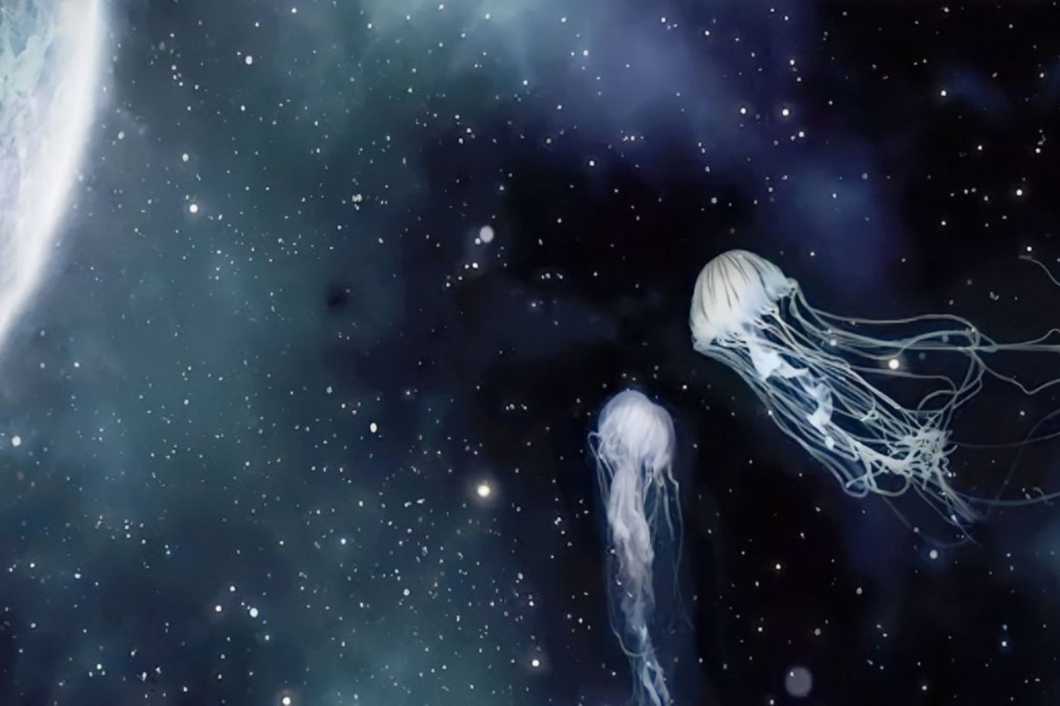 La NASA envió miles de medusas bebé al espacio para responder una pregunta inquietante. Cuando regresaron a la Tierra se habían multiplicado y algo extraño ocurrió con su equilibrio