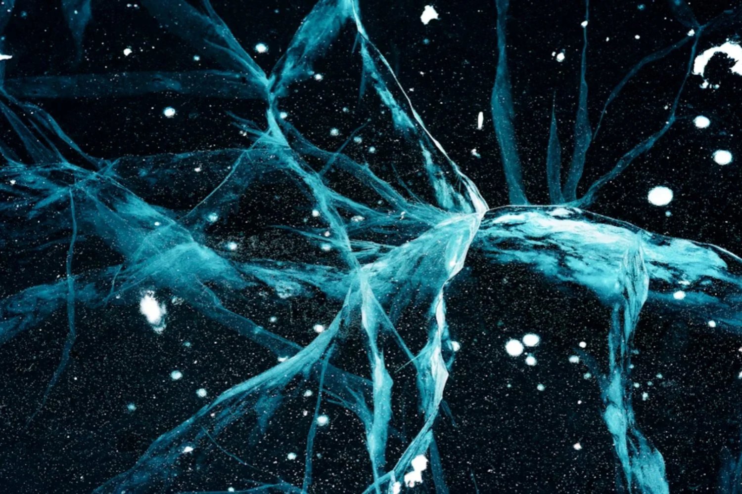 Cómo una sola célula termina convirtiéndose en 170 mil millones dentro del cerebro. Un estudio propone un nuevo mecanismo que explicaría la arquitectura del sistema nervioso