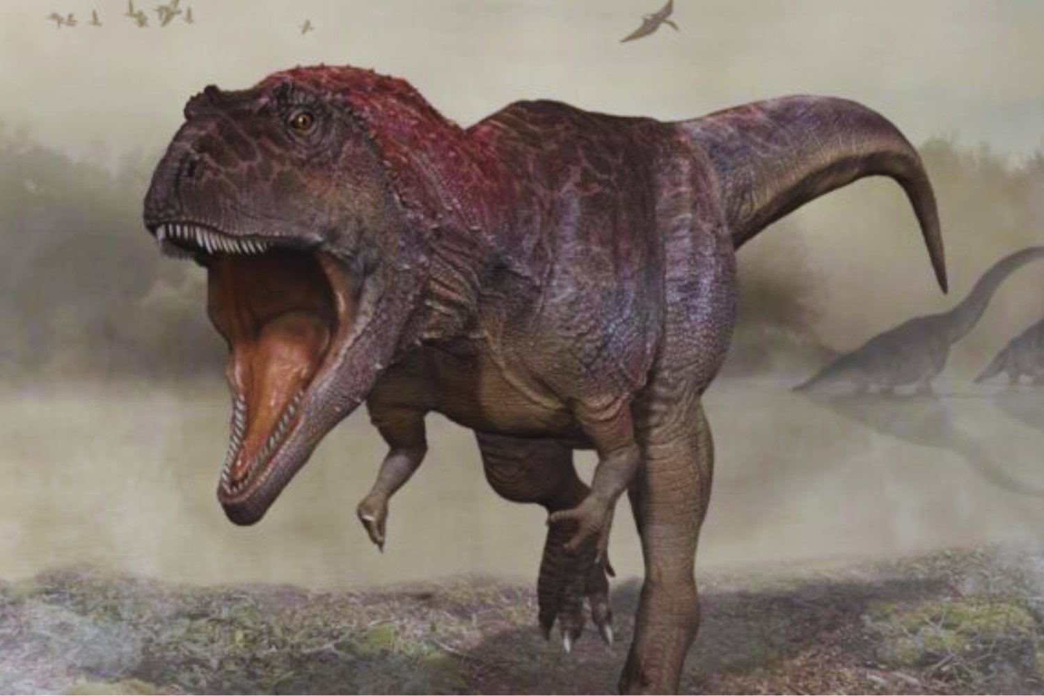 Durante décadas dimos por hecho que el T. rex reinaba solo al final del Cretácico. Nuevos fósiles ahora sugieren que el depredador más famoso de la historia quizá nunca estuvo tan solo