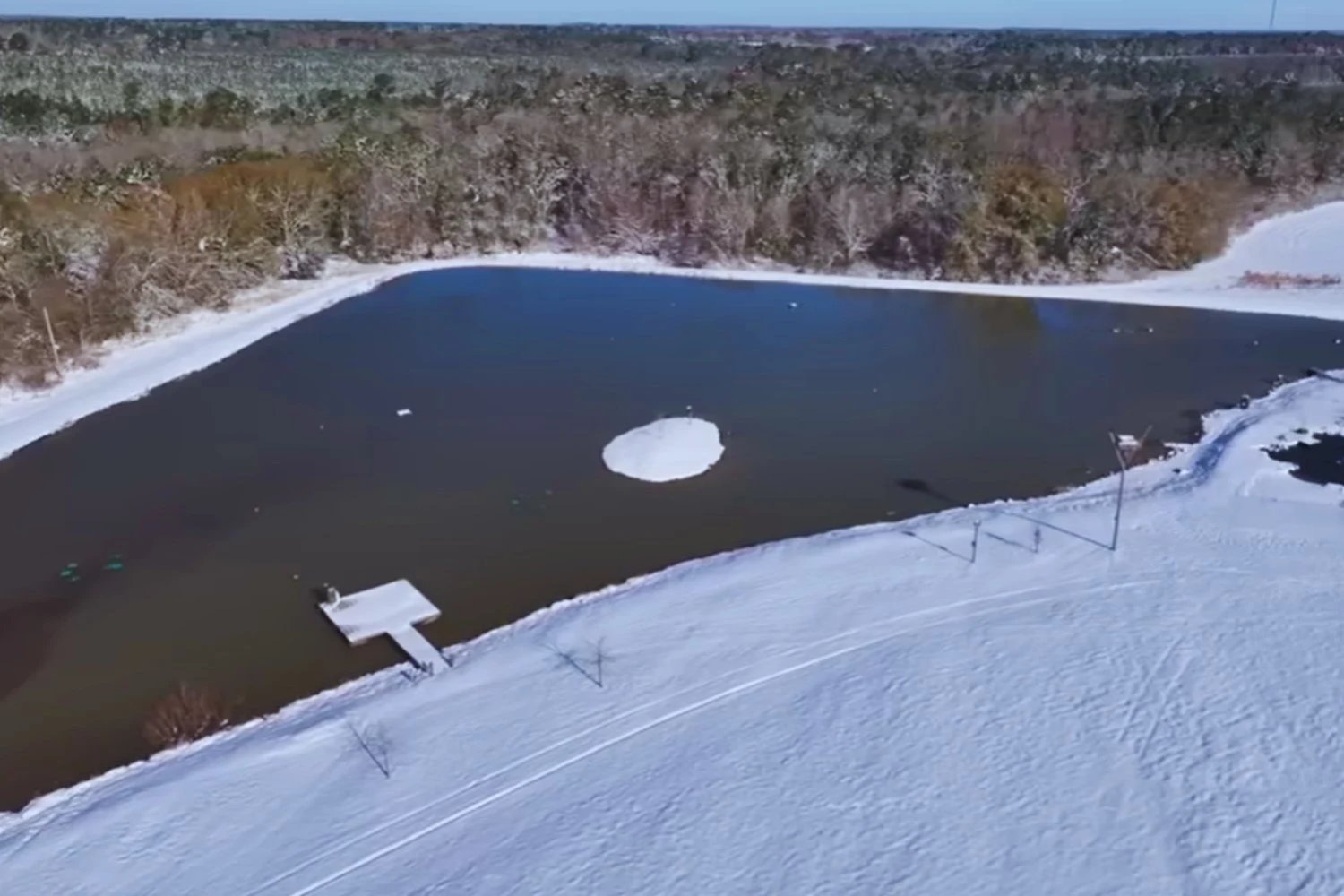 Construyó un lago para criar peces en medio de un campo agrícola. En solo 1.000 días terminó creando un santuario salvaje con águilas, ciervos y depredadores