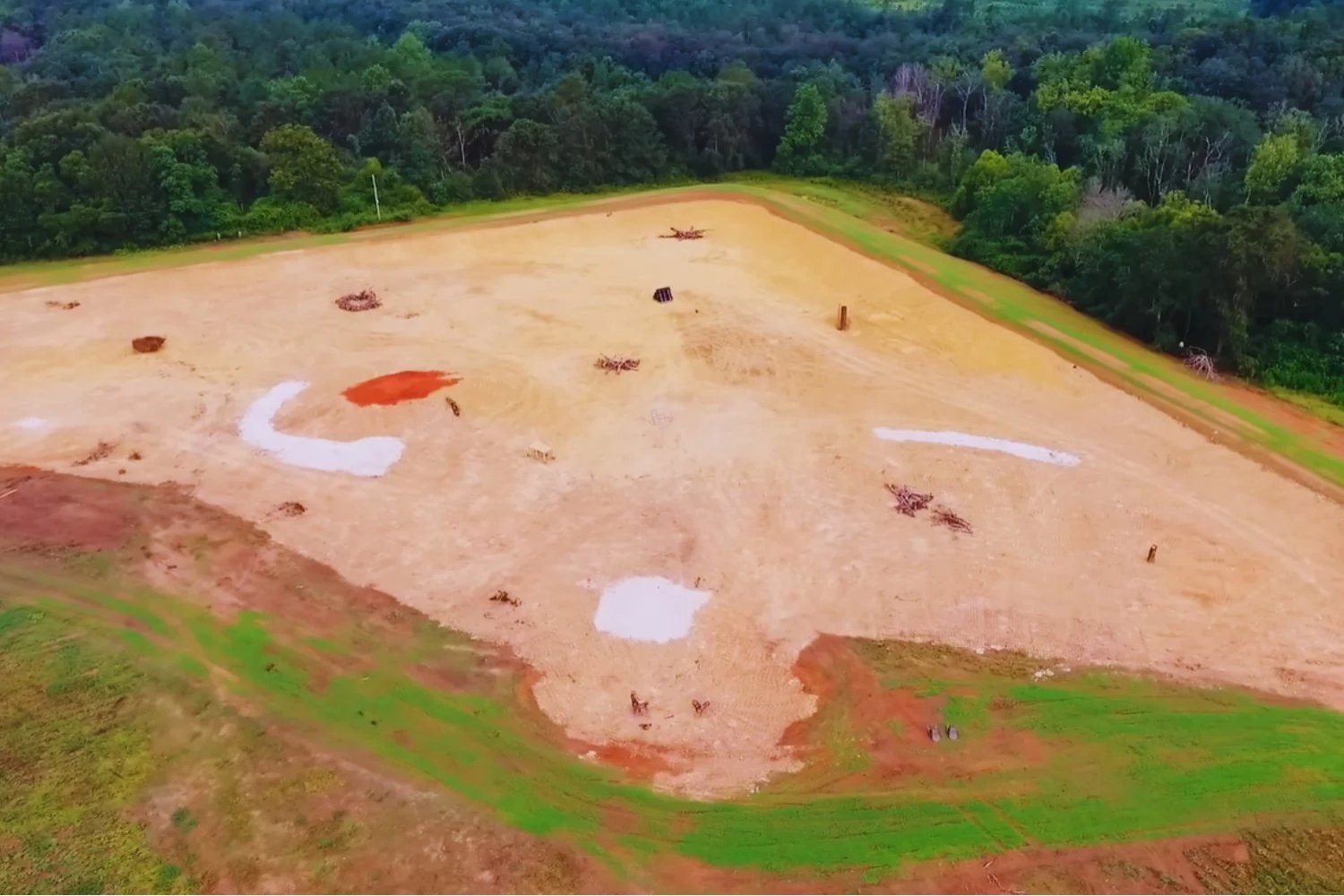 Construyó un lago para criar peces en medio de un campo agrícola. En solo 1.000 días terminó creando un santuario salvaje con águilas, ciervos y depredadores
