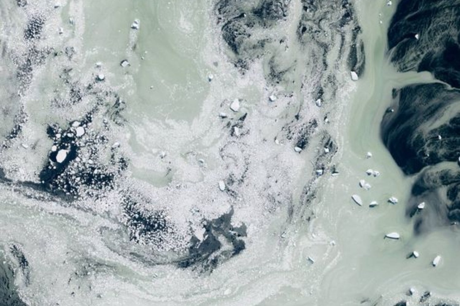 Los satélites europeos han visto un cambio de color en la Antártida que no encaja con lo habitual. Donde siempre hubo blanco ahora aparece verde, y la clave está en lo que ocurre bajo la superficie del océano