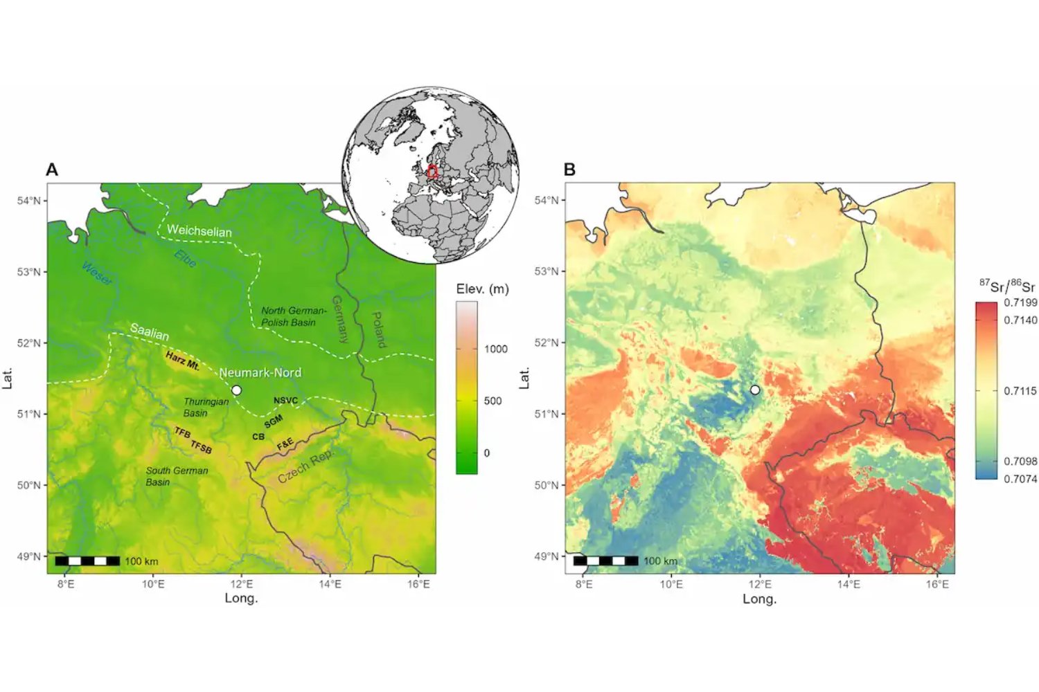 Estos elefantes gigantes recorrieron cientos de kilómetros por Europa… y acabaron en una trampa perfectamente planificada. Los neandertales ya sabían exactamente dónde cazar