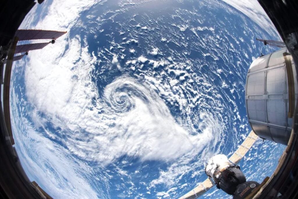 La peor extinción de la historia de la Tierra no convirtió el océano en un páramo vacío como creíamos. Un nuevo estudio muestra que, incluso tras perder al 90% de las especies, la vida marina conservó suficientes piezas como para empezar de nuevo