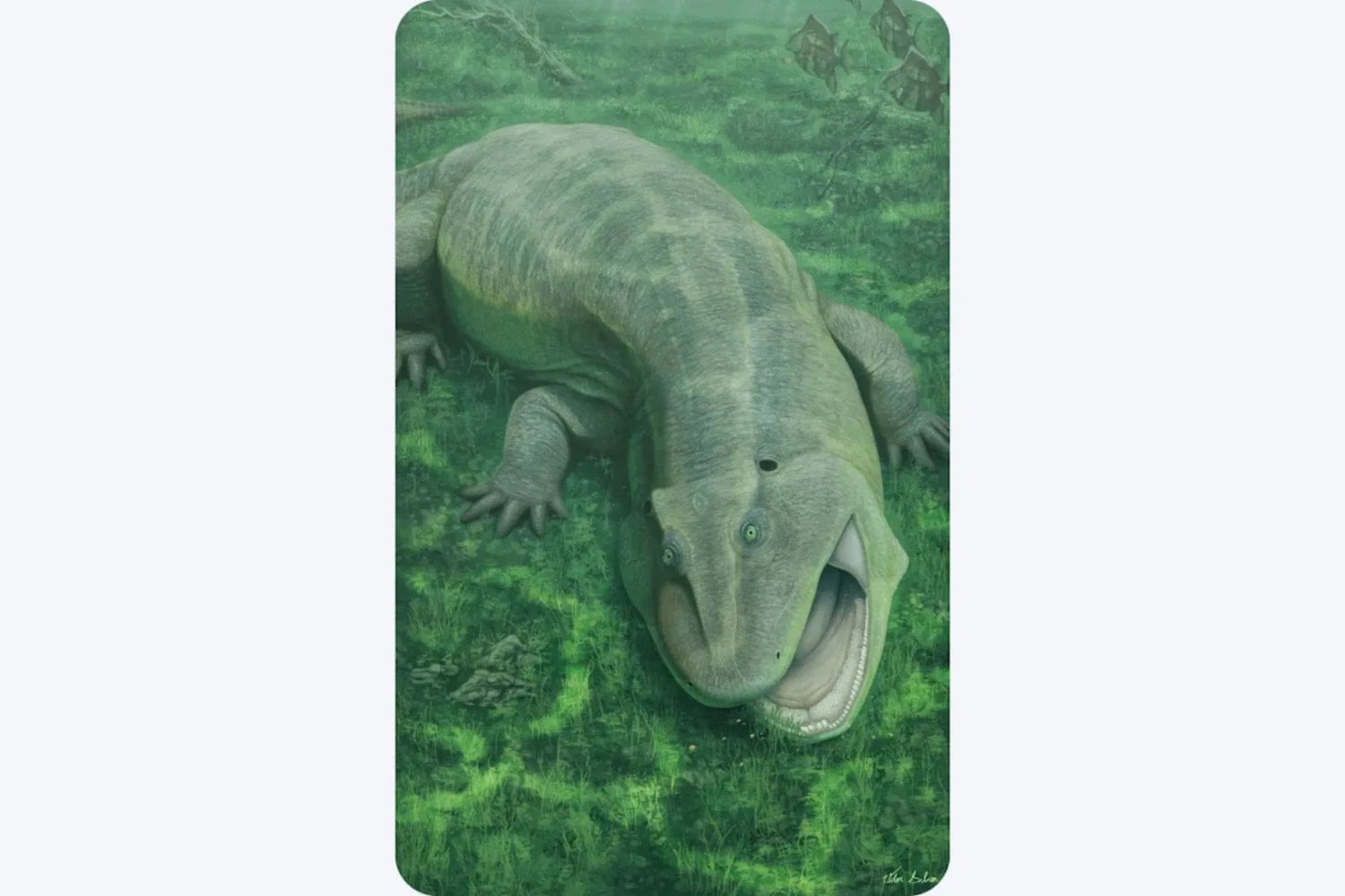 Una mandíbula torcida encontrada en Brasil acaba de revelar un animal prehistórico desconocido. Vivió hace 275 millones de años y podría haber sido uno de los primeros herbívoros terrestres