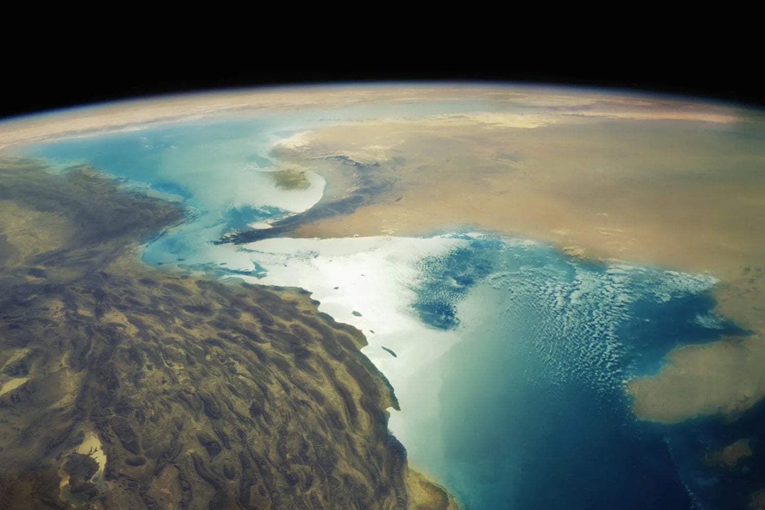 La peor extinción de la historia de la Tierra no convirtió el océano en un páramo vacío como creíamos. Un nuevo estudio muestra que, incluso tras perder al 90% de las especies, la vida marina conservó suficientes piezas como para empezar de nuevo