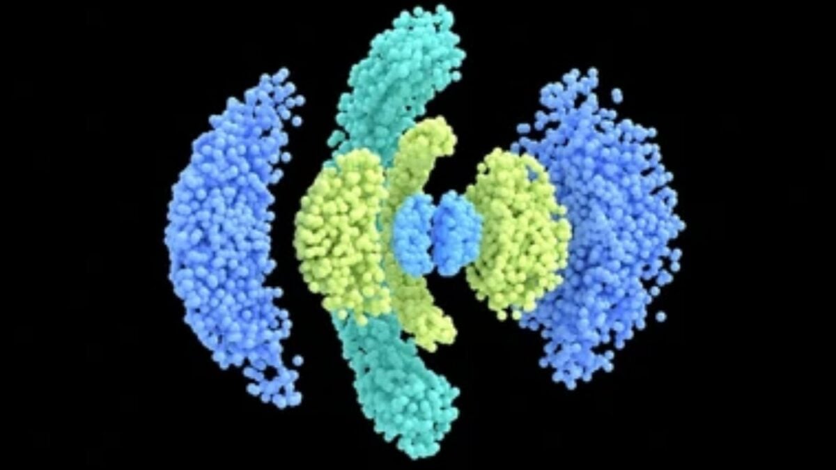 Un problema matemático que Schrödinger dejó sin resolver durante casi cien años acaba de encontrar solución. Y no tiene que ver con su famoso gato