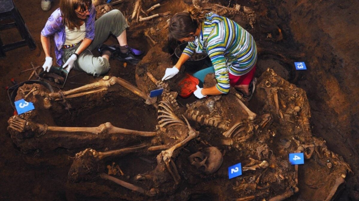 Nacieron en Argentina para buscar a quienes la dictadura quiso hacer desaparecer sin dejar rastro. Cuatro décadas después, su trabajo ayuda a devolver nombre e identidad a víctimas de violencia en todo el planeta