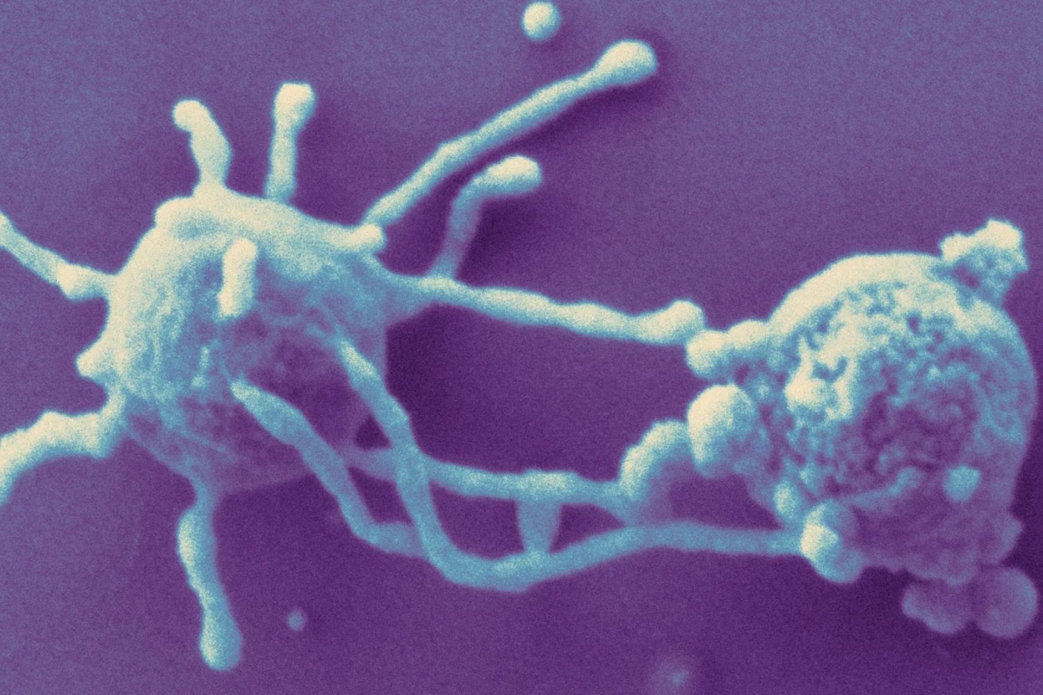 La historia de cómo nació la vida compleja en la Tierra tenía una grieta que no terminaba de cerrar. Ahora un análisis masivo de ADN sugiere que nuestros ancestros microbianos ya habían aprendido a usar oxígeno antes de dar el salto evolutivo decisivo