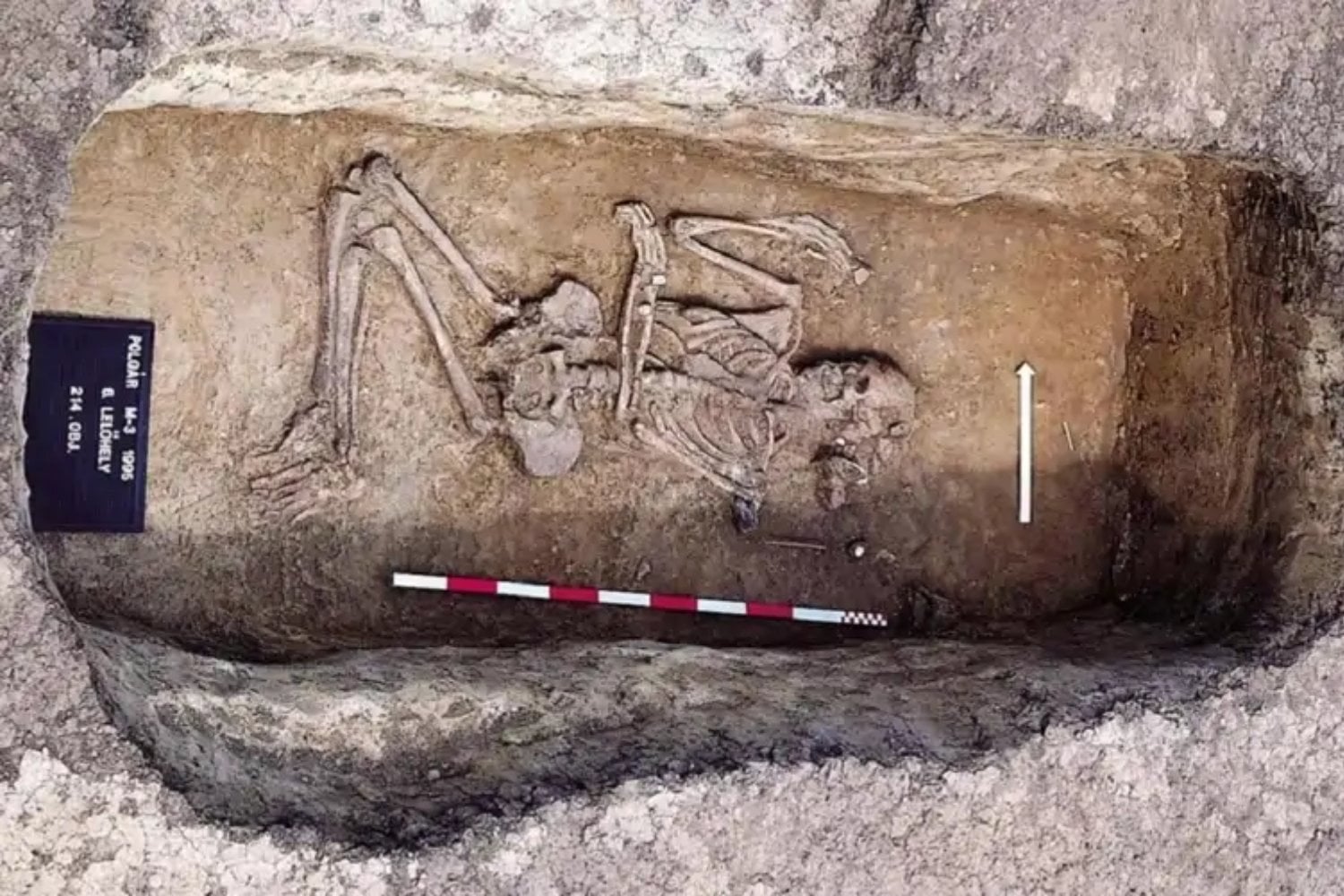 Un cementerio neolítico en Hungría está obligando a replantear ideas modernas sobre el pasado. Una mujer enterrada con herramientas masculinas revela que los roles de género podían ser flexibles hace 7.000 años