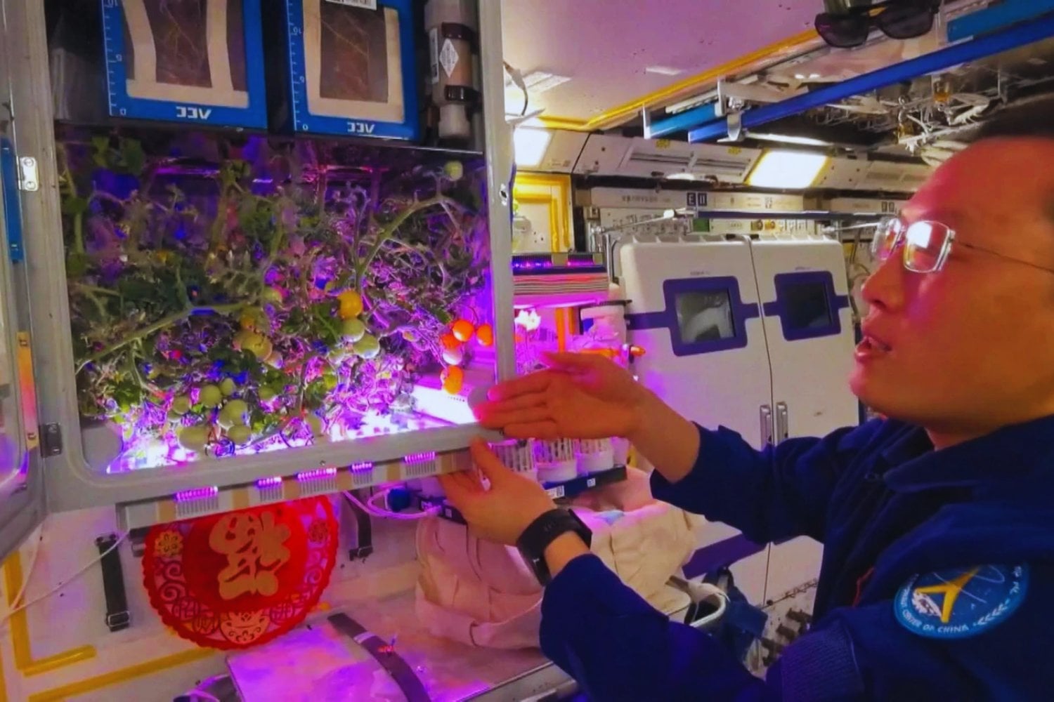 Cultivar alimentos en el espacio ya no es una idea futurista. La estación Tiangong acaba de cosechar tomates y demuestra que vivir fuera de la Tierra empieza a ser técnicamente posible