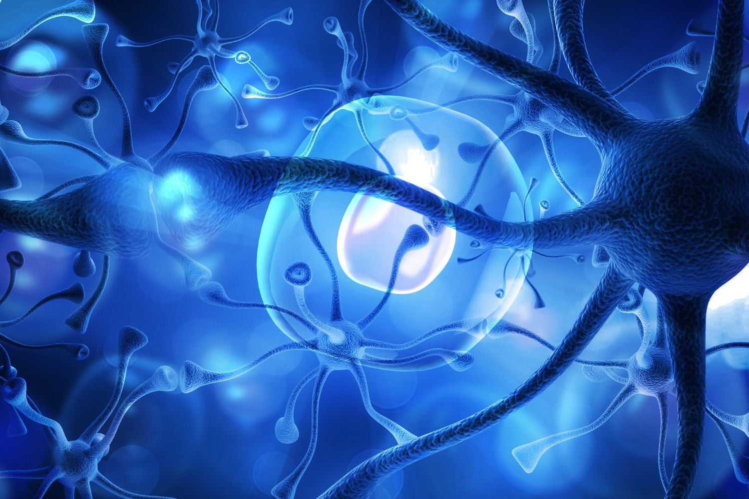 Diseño Sin Título (66)