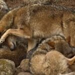 Diseño Sin Título (7)