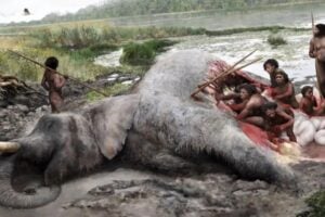 Un hallazgo de 1948 en Alemania acaba de volverse mucho más importante de lo que parecía. Todo apunta a que los neandertales sí cazaban animales gigantes de forma organizada