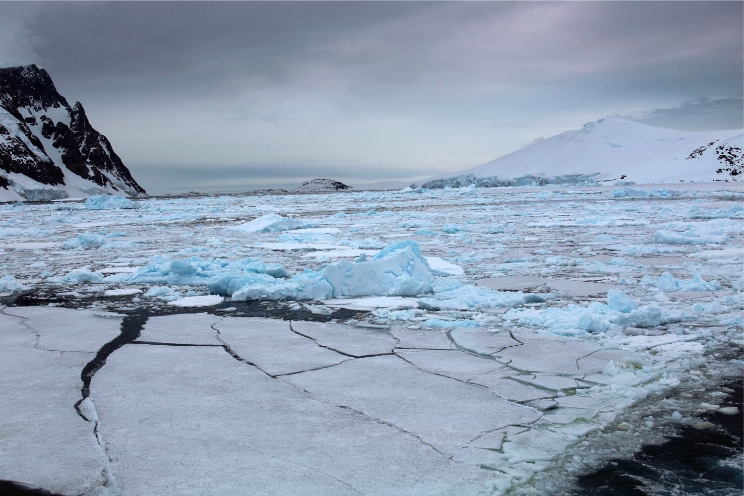 Diseño Sin Título (74)