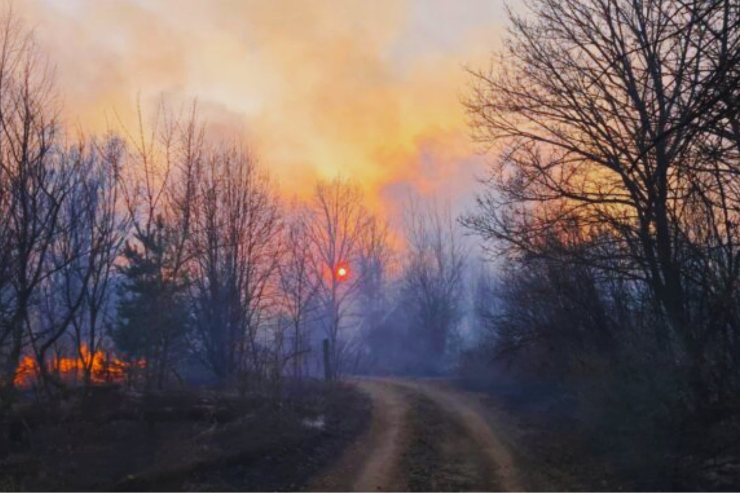 Casi 40 años después de Chernóbil aparece una señal genética inesperada. Un estudio detecta mutaciones heredadas vinculadas a la radiación en hijos de hombres expuestos