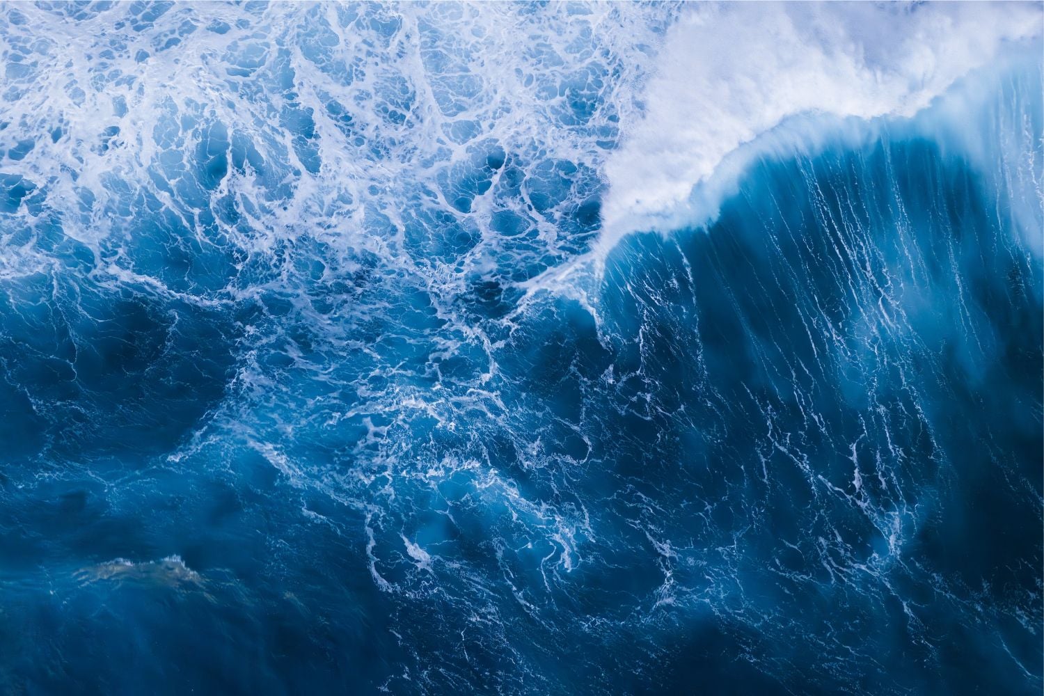 Diseño Sin Título (88)