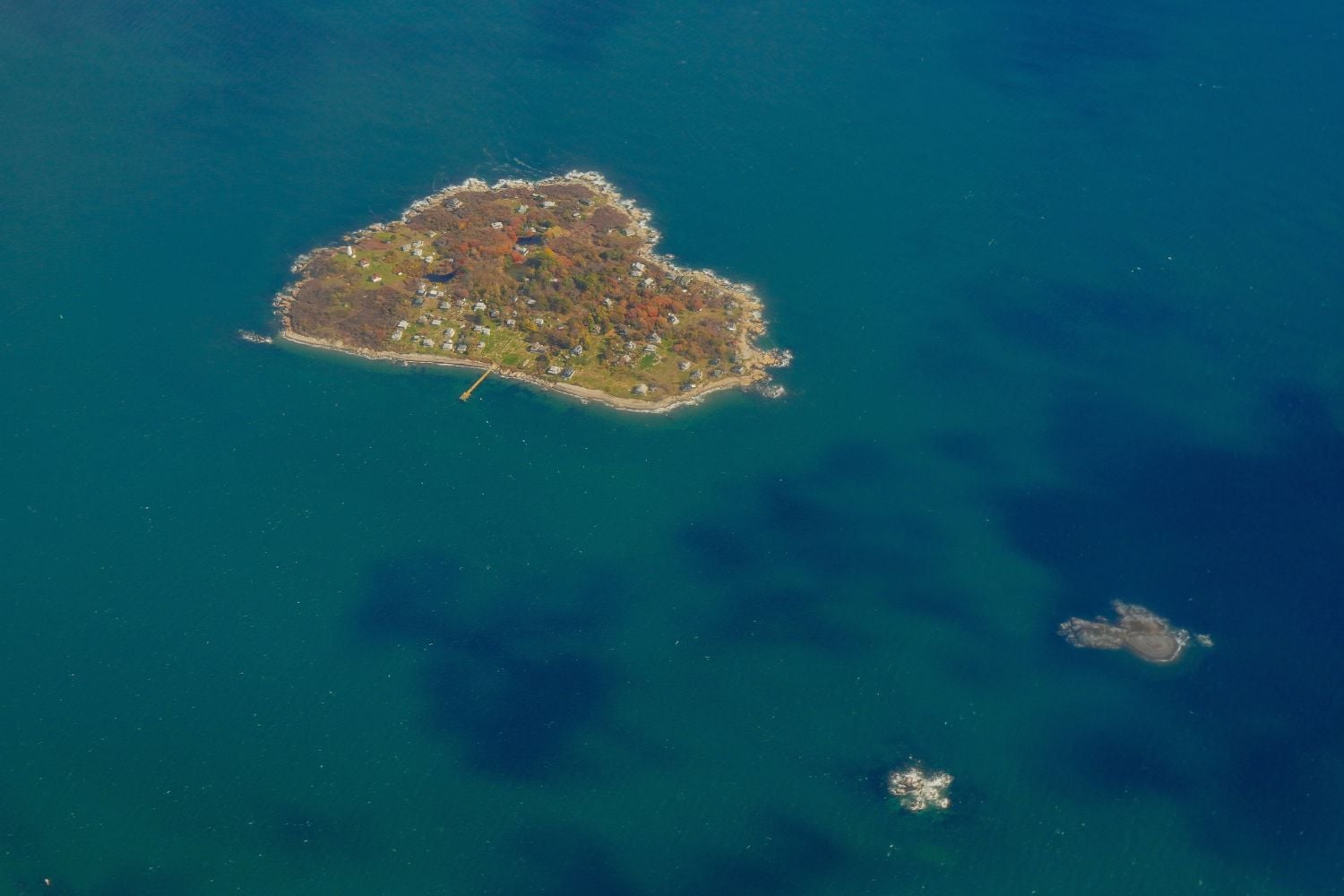 Diseño Sin Título (93)