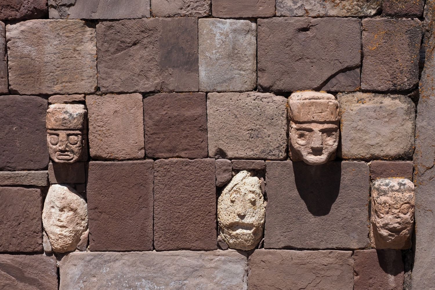 Diseño Sin Título (97)