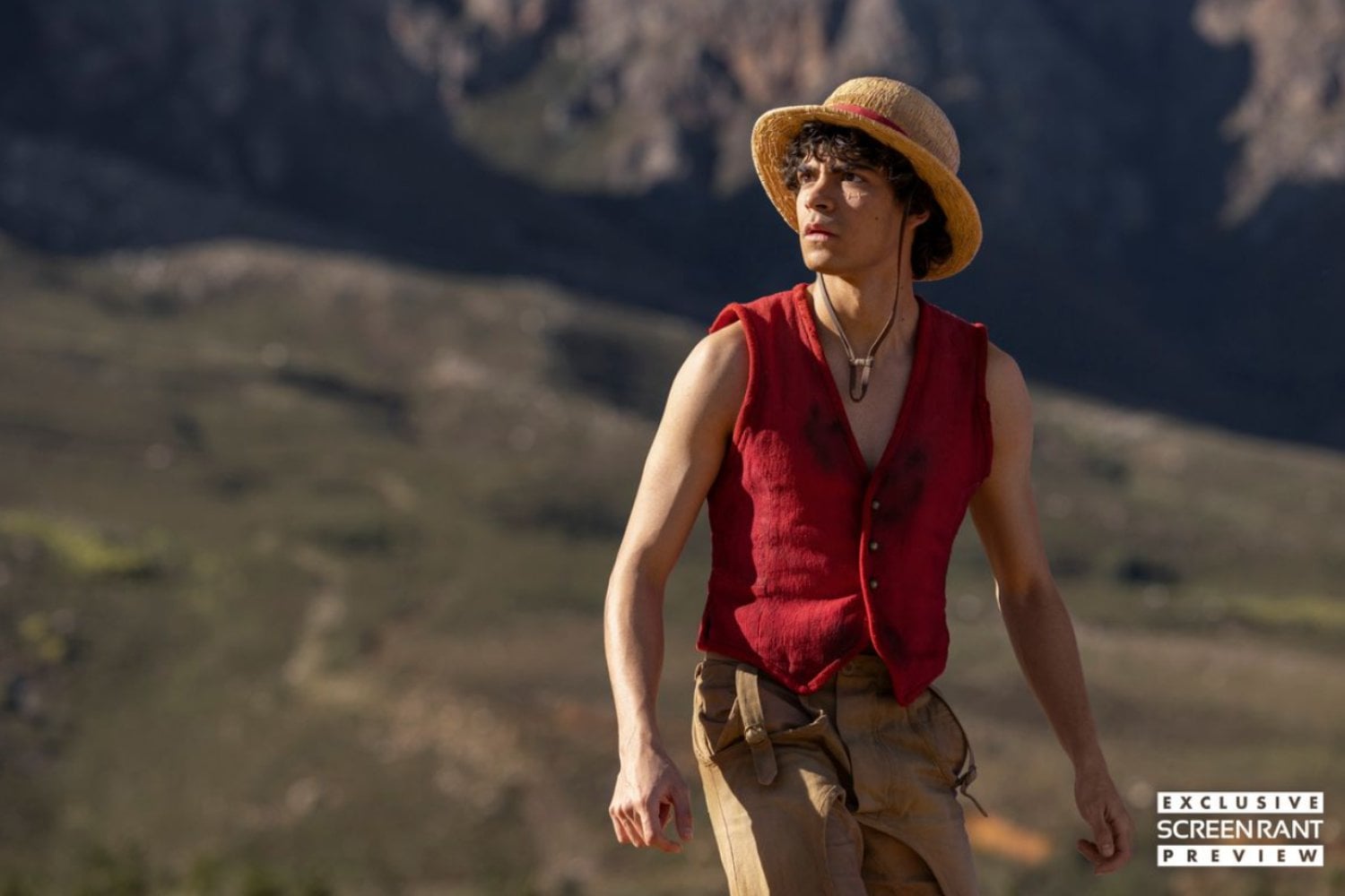 El creador de One Piece convierte su final en un misterio real: Oda lanza un desafío al mundo