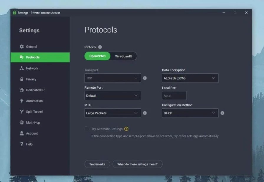 Private Internet Access Protocolos