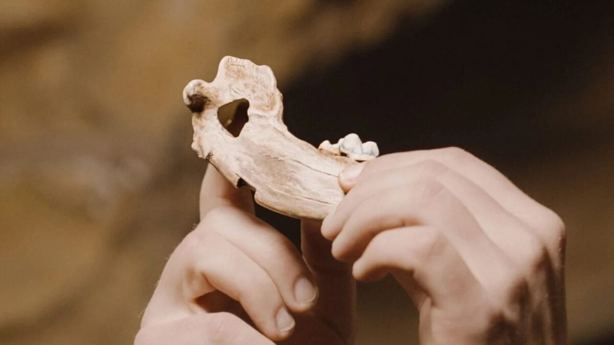 El ADN sugiere que a los humanos ya nos gustaban los perros hace 16.000 años