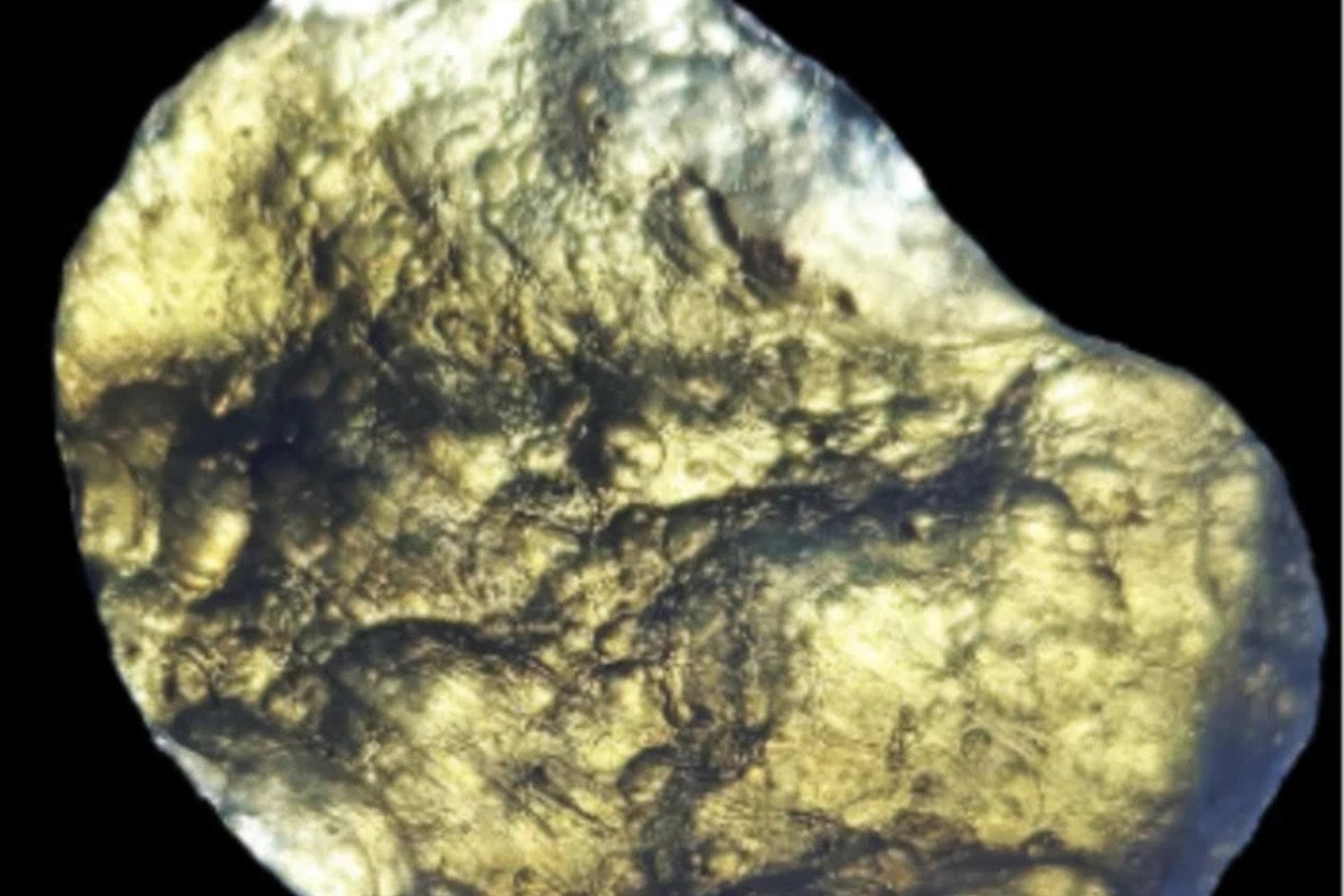 Especimen De Meteorito