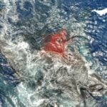 Nacimiento De Cachalote