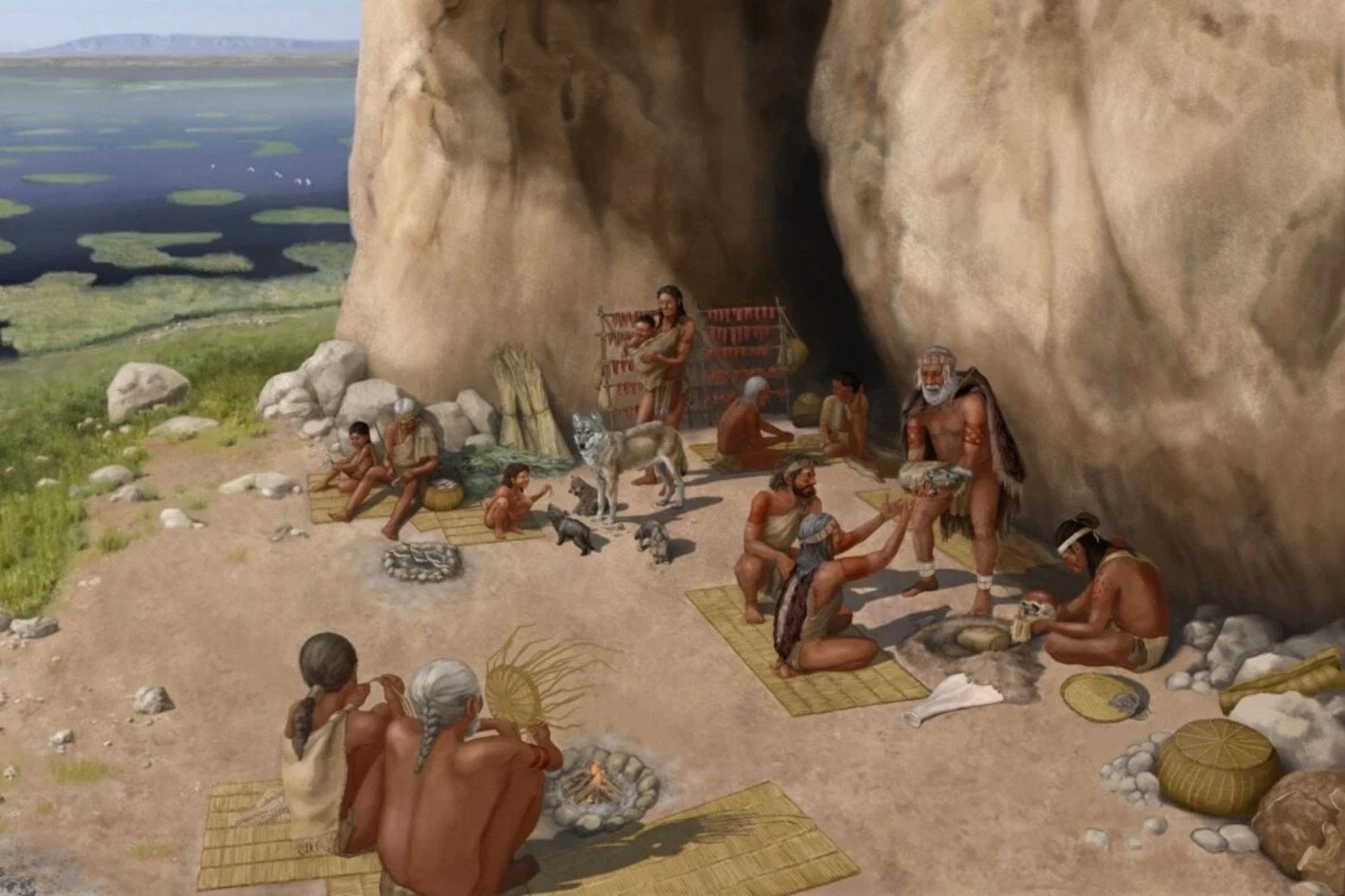 Perros Domesticados En La Antiguedad