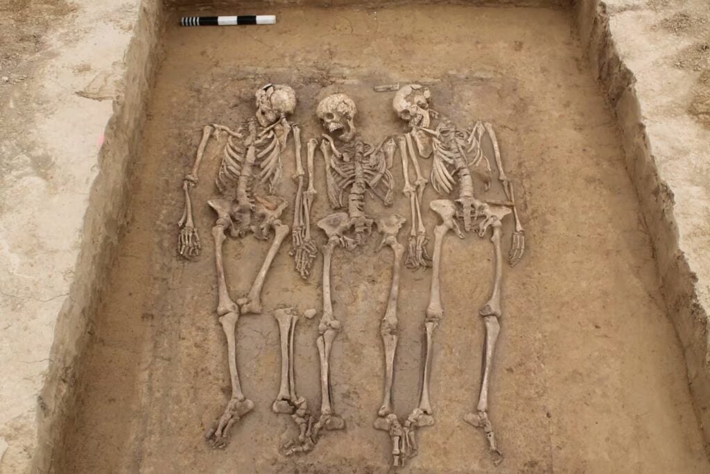 La caída del Imperio romano no fue solo el fin de un sistema político ni una ola de invasiones. La genética revela que fue el momento en que las poblaciones europeas empezaron a mezclarse de verdad