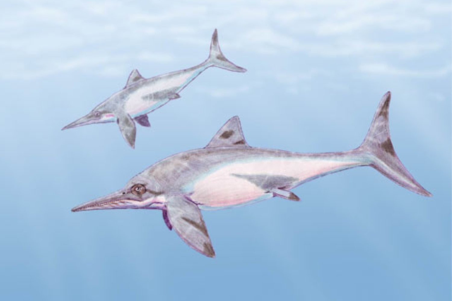 Un techo de cueva en Cuba ocultó durante 145 millones de años a un depredador marino del Jurásico. Ahora ese fósil está cambiando lo que sabíamos del Caribe