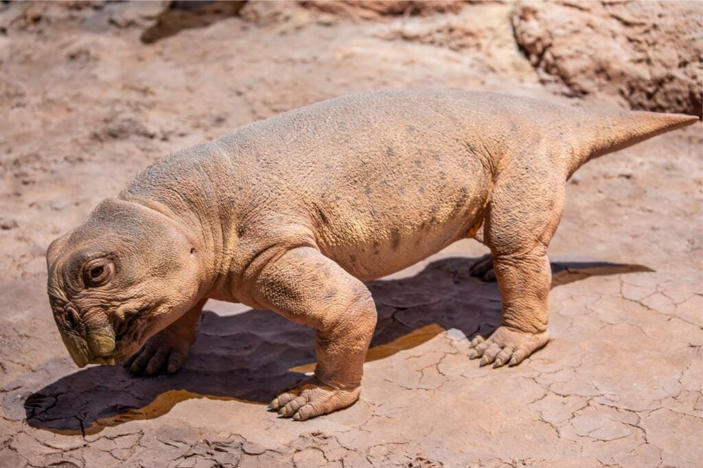 Diseño Sin Título (14)