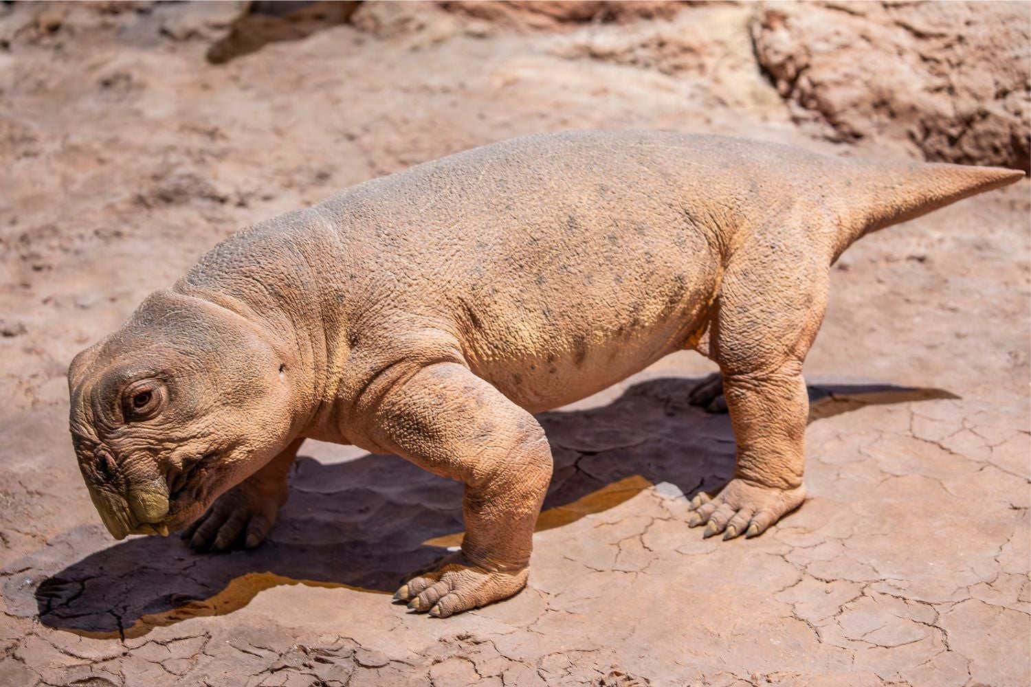 Diseño Sin Título (14)