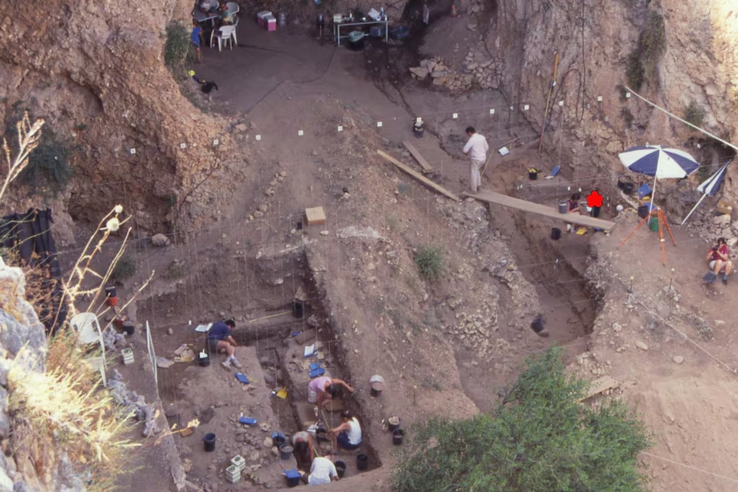 El esqueleto de un bebé neandertal está obligando a replantear su evolución. Su cuerpo revela algo incómodo: no crecían como nosotros y su desarrollo empezaba a ser distinto desde los primeros meses de vida