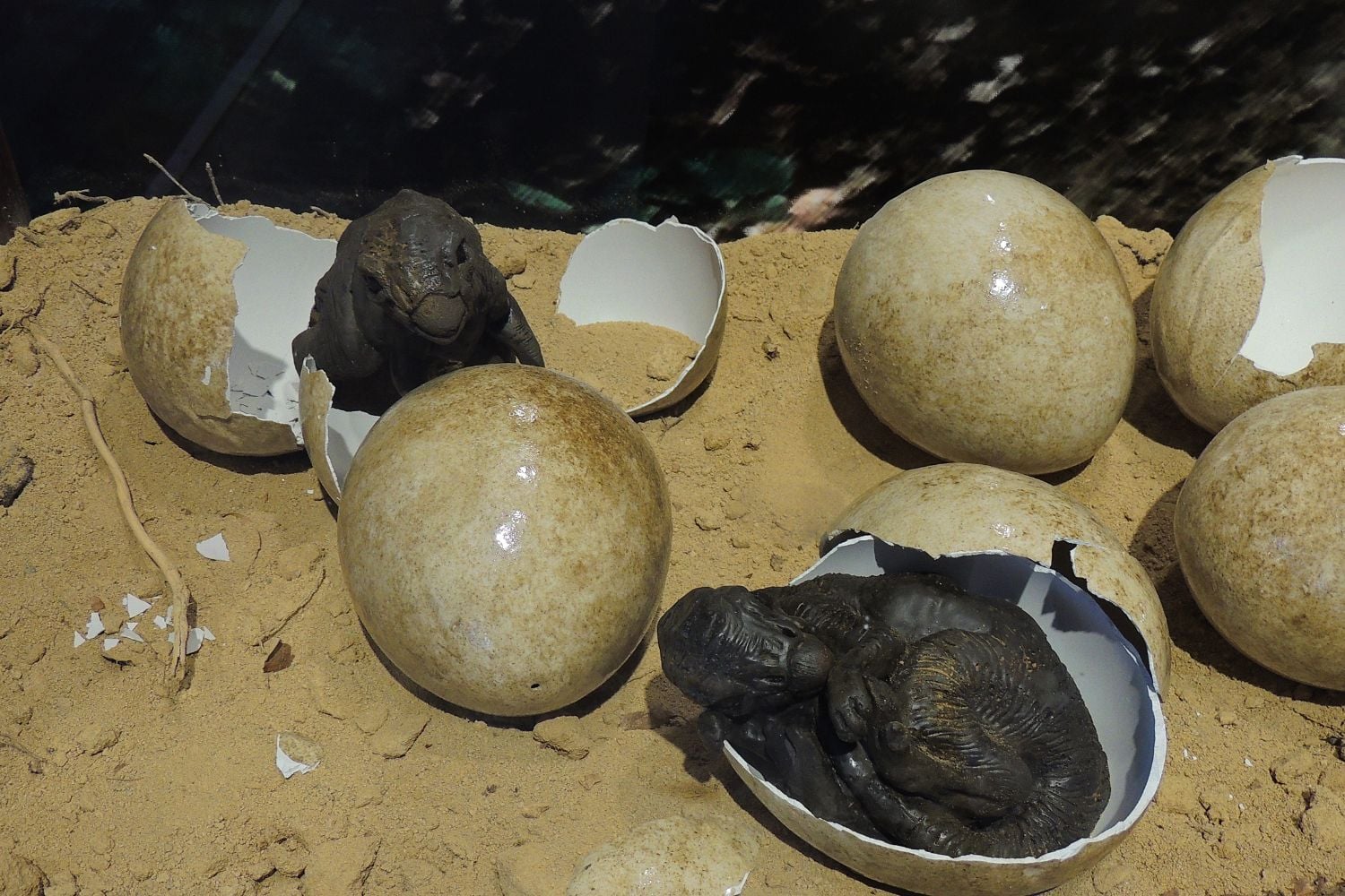 Diseño Sin Título (15)