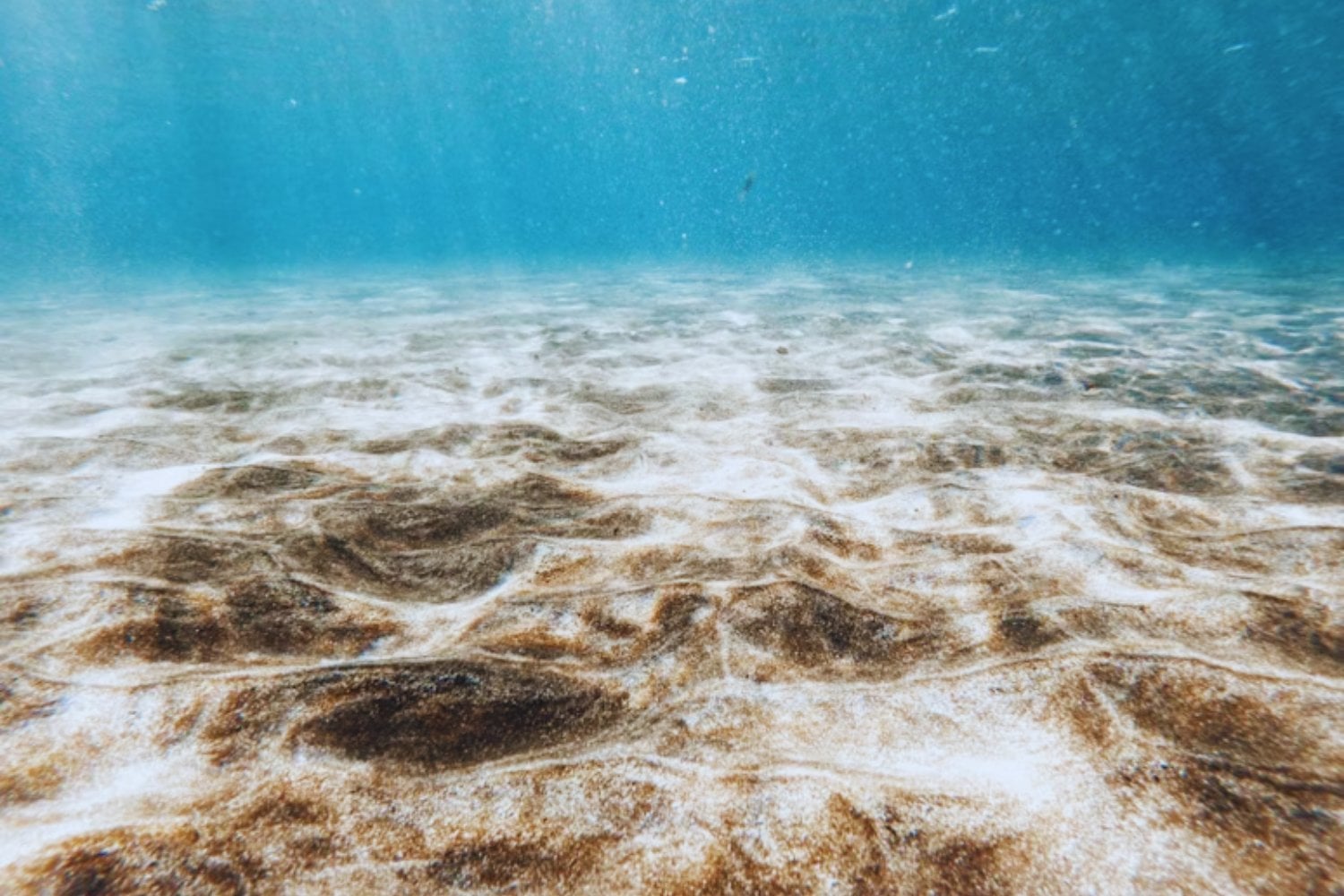 Un robot ha excavado bajo el fondo marino a 2.500 metros de profundidad. Lo que ha encontrado sugiere que la vida en la Tierra ocupa mucho más espacio del que pensábamos