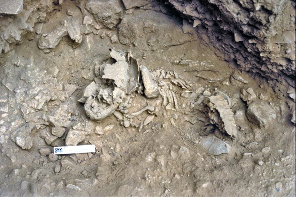 El esqueleto de un bebé neandertal está obligando a replantear su evolución. Su cuerpo revela algo incómodo: no crecían como nosotros y su desarrollo empezaba a ser distinto desde los primeros meses de vida