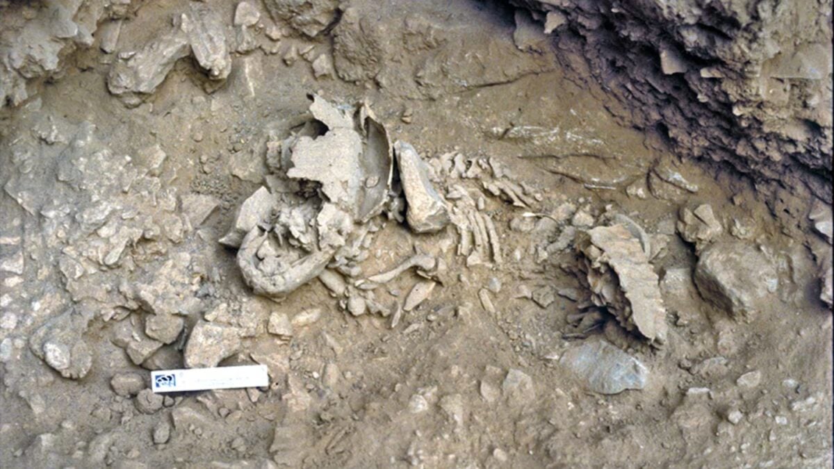 El esqueleto de un bebé neandertal está obligando a replantear su evolución. Su cuerpo revela algo incómodo: no crecían como nosotros y su desarrollo empezaba a ser distinto desde los primeros meses de vida