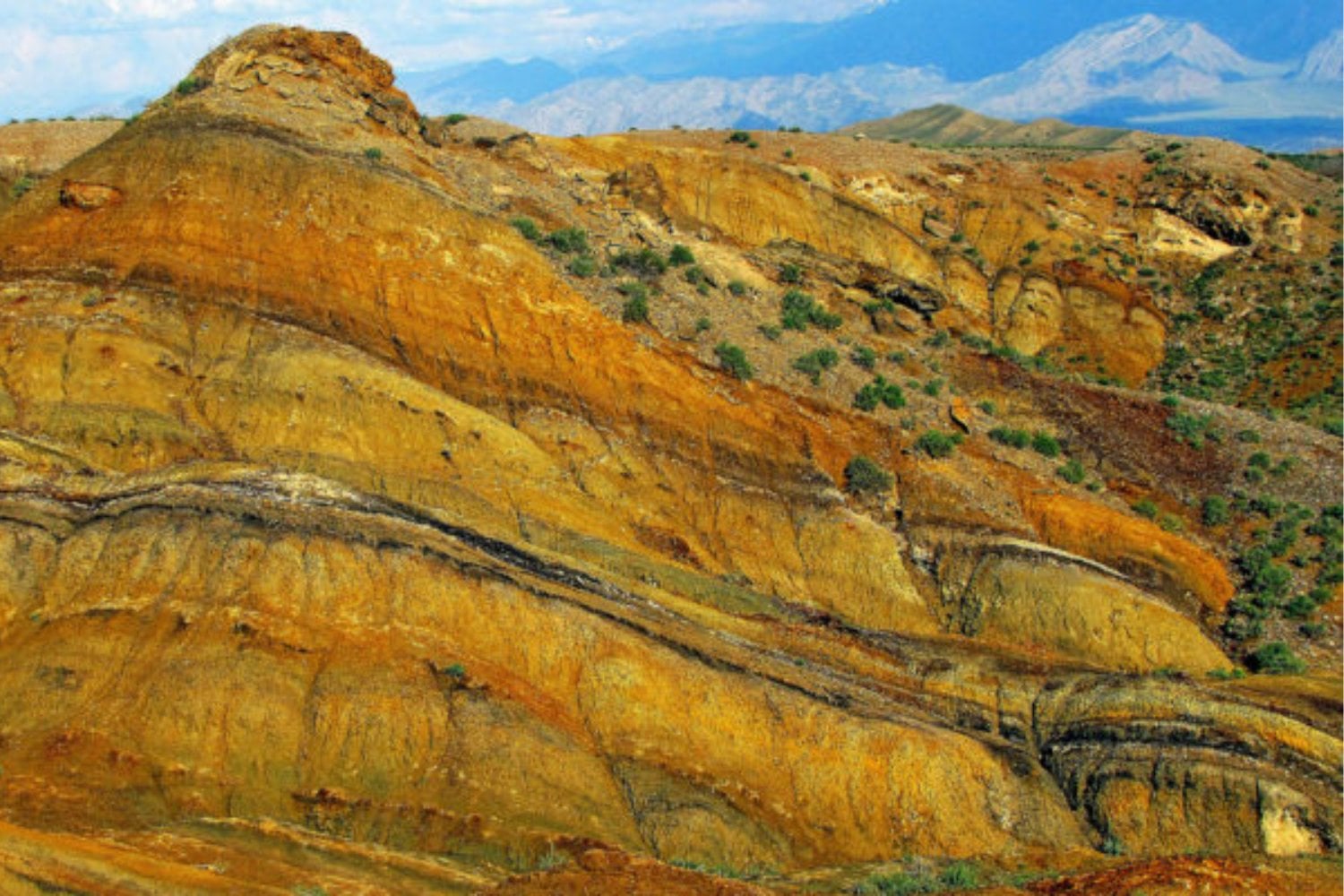 237 millones de años después, la Tierra habló desde las cenizas. Científicos chilenos lideran hallazgo de incendios forestales en un mundo anterior a los dinosaurios