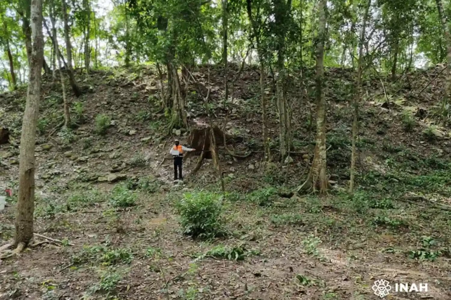 Lo que parecía una elevación sin importancia en Quintana Roo escondía una ciudad entera. El descubrimiento de 80 estructuras mayas está obligando a replantear el mapa arqueológico de la región