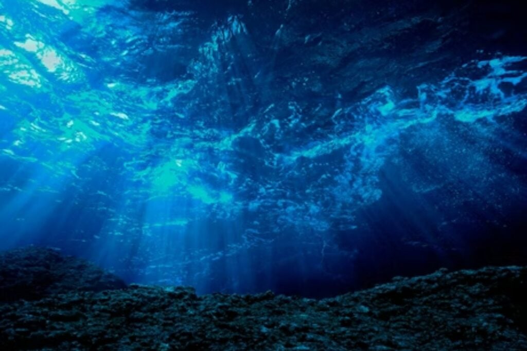 Un robot ha excavado bajo el fondo marino a 2.500 metros de profundidad. Lo que ha encontrado sugiere que la vida en la Tierra ocupa mucho más espacio del que pensábamos