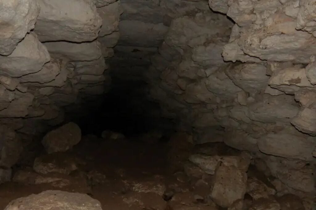 Lo que parecía una elevación sin importancia en Quintana Roo escondía una ciudad entera. El descubrimiento de 80 estructuras mayas está obligando a replantear el mapa arqueológico de la región