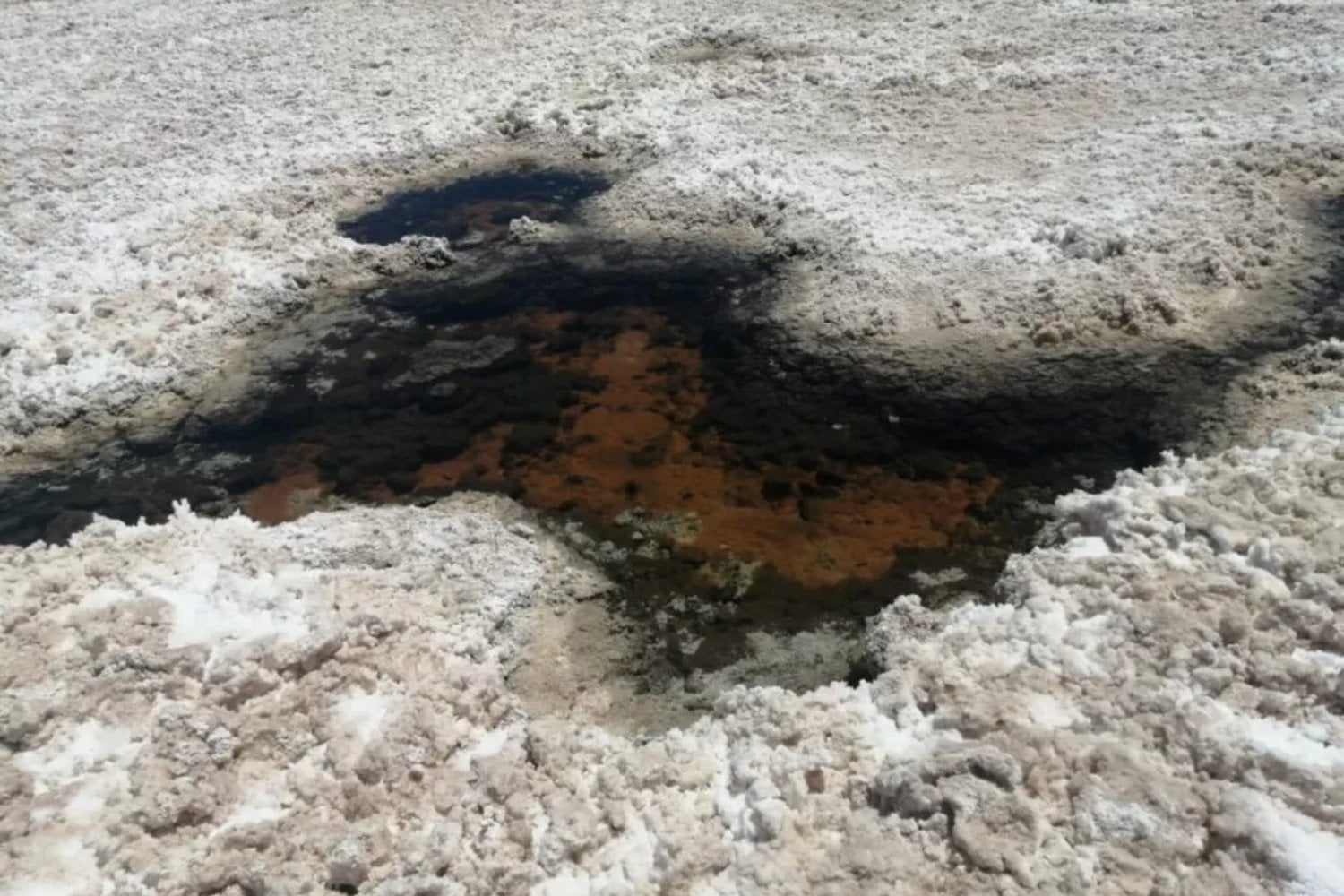 En el lugar más parecido a Marte en la Tierra encontraron una bacteria que podría revelar vida en otros planetas. Y todo pasa por aprender a leer su rastro químico